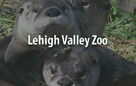 Lehigh Valley Zoo